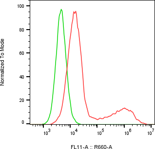 Rabbit-anti CDH13 monoclonal antibody