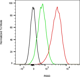 Rabbit-anti KITLG monoclonal antibody