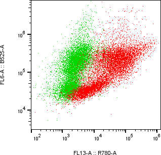 Rabbit-anti CD38 monoclonal antibody