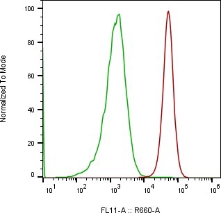 Rabbit-anti LTBR monoclonal antibody