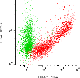 Rabbit-anti ROR2 monoclonal antibody