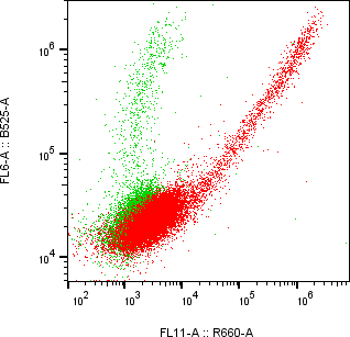 Rabbit-anti BPIFA2 monoclonal antibody