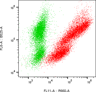 Rabbit-anti FSTL1 monoclonal antibody