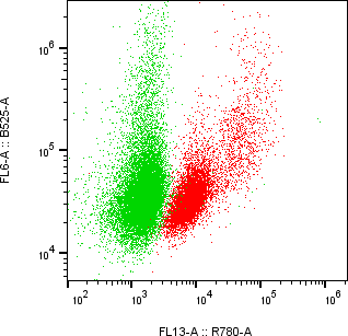 Rabbit-anti FAS monoclonal antibody