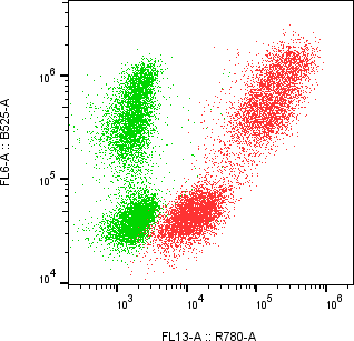 Rabbit-anti SERPINF1 monoclonal antibody