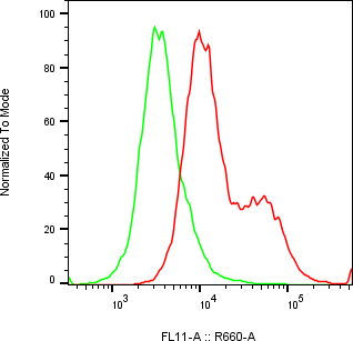 Rabbit-anti EMB monoclonal antibody