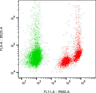 Rabbit-anti PILRA monoclonal antibody