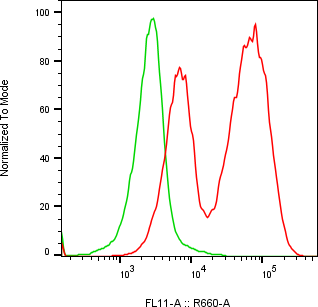 Rabbit-anti IL21R monoclonal antibody
