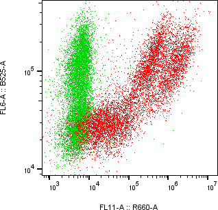 Rabbit-anti LYG2 monoclonal antibody
