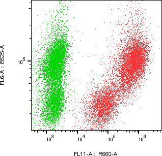Rabbit-anti PNLIP monoclonal antibody