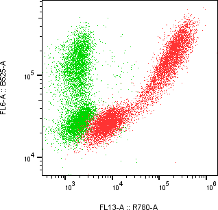 Rabbit-anti INS monoclonal antibody