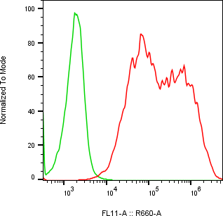 Rabbit-anti HEPACAM monoclonal antibody