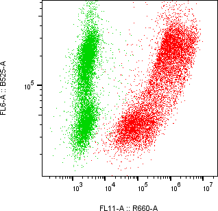 Rabbit-anti CCL23 monoclonal antibody