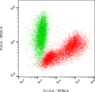 Rabbit-anti GAST monoclonal antibody