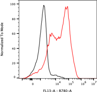 Rabbit-anti TNFRSF18 monoclonal antibody