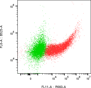 Rabbit-anti VTN monoclonal antibody