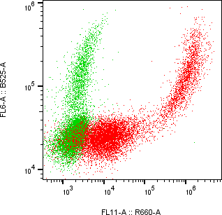 Rabbit-anti NECTIN4 monoclonal antibody