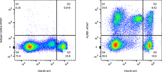 Rabbit-anti KLRB1 monoclonal antibody