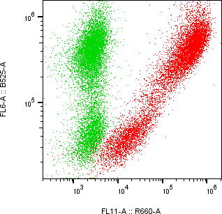Rabbit-anti EPYC monoclonal antibody