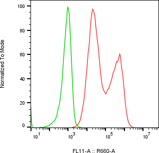 Rabbit-anti LAP region of TGF-&beta;1 monoclonal antibody