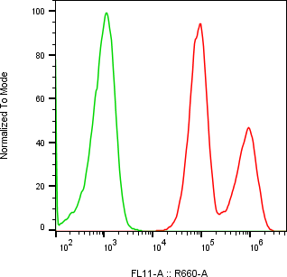 Rabbit-anti CSN3 monoclonal antibody