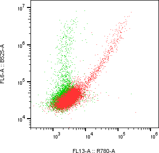 Rabbit-anti KIRREL1 monoclonal antibody
