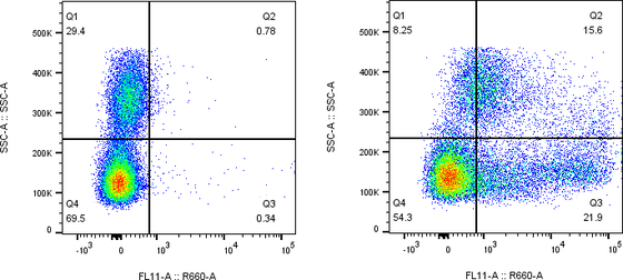 Rabbit-anti KIR2DL3 monoclonal antibody