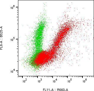 Rabbit-anti VSIG2 monoclonal antibody