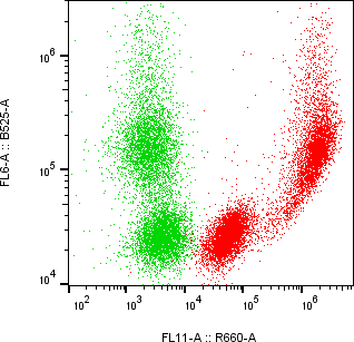 Rabbit-anti CD7 monoclonal antibody