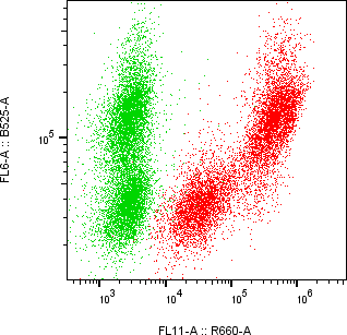 Rabbit-anti MMP1 monoclonal antibody
