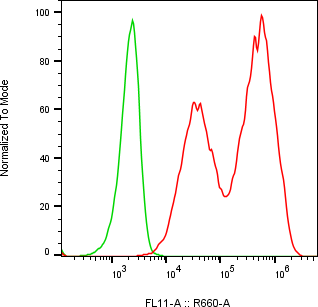 Rabbit-anti KLK6 monoclonal antibody