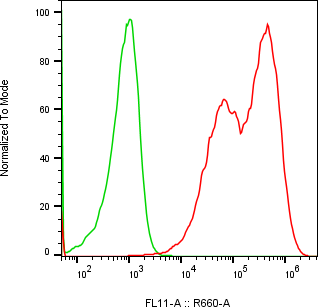 Rabbit-anti LCN1 monoclonal antibody