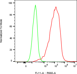 Rabbit-anti CEACAM8 monoclonal antibody