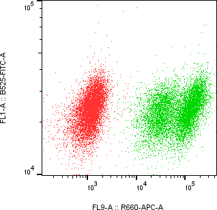 Rabbit-anti SAA2 monoclonal antibody