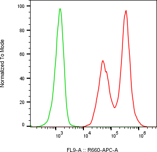Rabbit-anti CCL16 monoclonal antibody