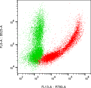 Rabbit-anti VCAM1 monoclonal antibody
