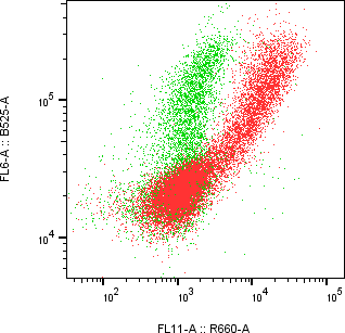 Rabbit-anti ENG monoclonal antibody
