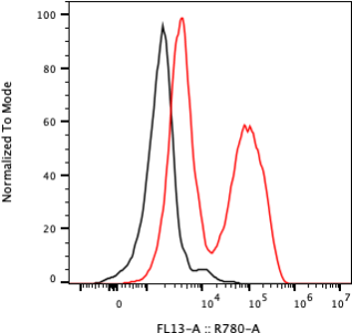 Rabbit-anti SERPINF1 monoclonal antibody
