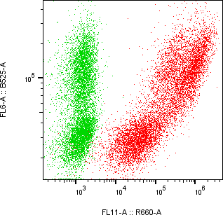 Rabbit-anti CST6 monoclonal antibody