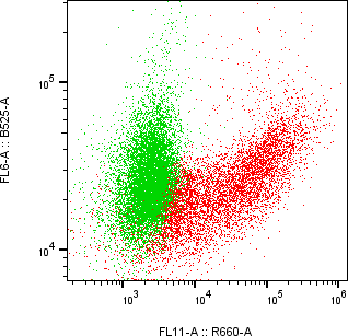 Rabbit-anti COL3A1 monoclonal antibody