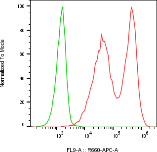 Rabbit-anti REG1A monoclonal antibody