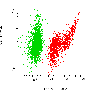 Rabbit-anti SEMG1 monoclonal antibody