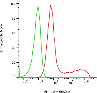 Rabbit-anti CD300LG monoclonal antibody