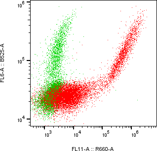 Rabbit-anti NECTIN4 monoclonal antibody