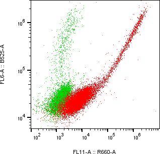 Rabbit-anti BPIFA2 monoclonal antibody