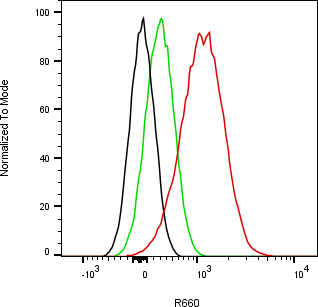 Rabbit-anti SMOC1 monoclonal antibody