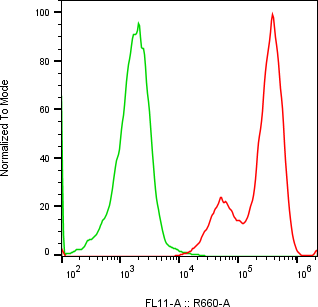 Rabbit-anti AMBP monoclonal antibody