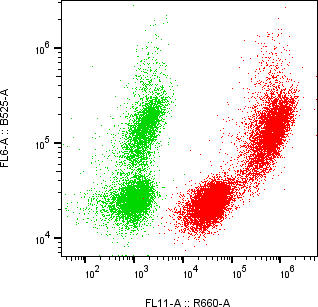 Rabbit-anti PTGDS monoclonal antibody