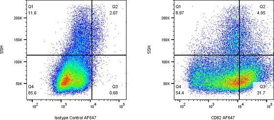 Rabbit-anti CD82 monoclonal antibody