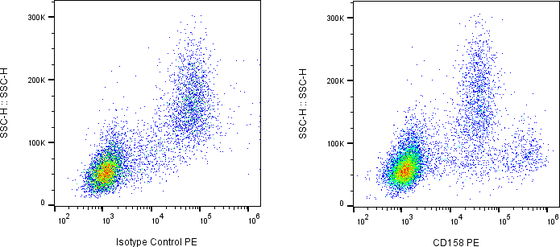 Rabbit-anti KIR2DL1 monoclonal antibody
